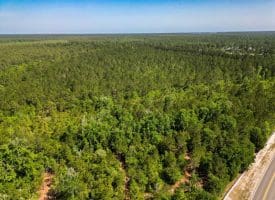 11.66+/- Acres of Residential Development Land For Sale in Brunswick County NC!