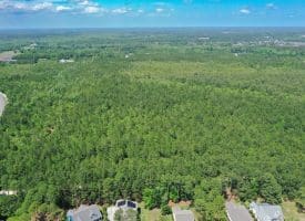 11.66+/- Acres of Residential Development Land For Sale in Brunswick County NC!