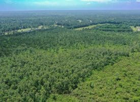 11.66+/- Acres of Residential Development Land For Sale in Brunswick County NC!