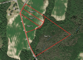 23+/- Acres of   Hunting Land With Home Site For Sale in Robeson County NC!