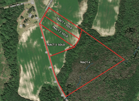 23+/- Acres of   Hunting Land With Home Site For Sale in Robeson County NC!