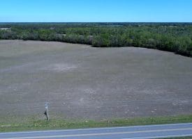 23+/- Acres of   Hunting Land With Home Site For Sale in Robeson County NC!