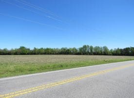 4.48+/- Acre Residential Lot For Sale in Robeson County NC!
