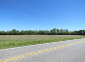 23+/- Acres of   Hunting Land With Home Site For Sale in Robeson County NC!