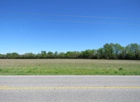 23+/- Acres of   Hunting Land With Home Site For Sale in Robeson County NC!