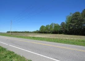 23+/- Acres of   Hunting Land With Home Site For Sale in Robeson County NC!