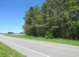 23+/- Acres of   Hunting Land With Home Site For Sale in Robeson County NC!