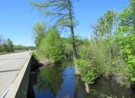 23+/- Acres of   Hunting Land With Home Site For Sale in Robeson County NC!