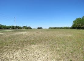 23+/- Acres of   Hunting Land With Home Site For Sale in Robeson County NC!