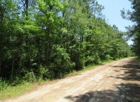 11.66+/- Acres of Residential Development Land For Sale in Brunswick County NC!