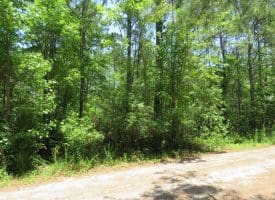 11.66+/- Acres of Residential Development Land For Sale in Brunswick County NC!