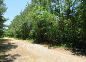 11.66+/- Acres of Residential Development Land For Sale in Brunswick County NC!