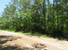 11.66+/- Acres of Residential Development Land For Sale in Brunswick County NC!