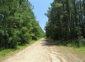 11.66+/- Acres of Residential Development Land For Sale in Brunswick County NC!