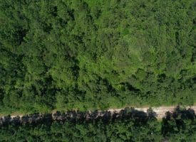 11.66+/- Acres of Residential Development Land For Sale in Brunswick County NC!