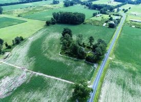 7+/- Acres of Farm Land With Home Site For Sale in Jones County NC!