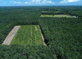 121+/- Acres With Home For Sale in Brunswick County NC!