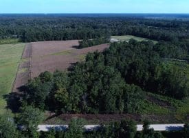 25+/- Acres of Farm Land For Sale in Robeson County NC!