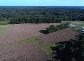 25+/- Acres of Farm Land For Sale in Robeson County NC!
