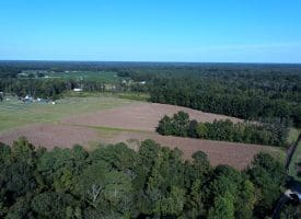 25+/- Acres of Farm Land For Sale in Robeson County NC!
