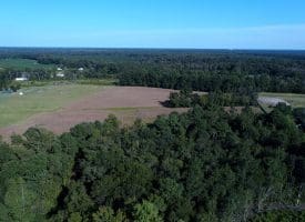25+/- Acres of Farm Land For Sale in Robeson County NC!