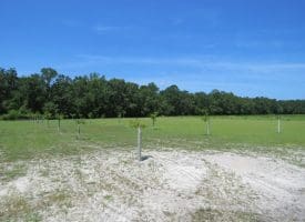 121+/- Acres With Home For Sale in Brunswick County NC!