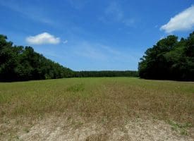 121+/- Acres With Home For Sale in Brunswick County NC!