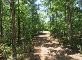 121+/- Acres With Home For Sale in Brunswick County NC!