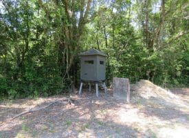 121+/- Acres With Home For Sale in Brunswick County NC!