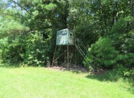 121+/- Acres With Home For Sale in Brunswick County NC!
