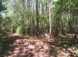 121+/- Acres With Home For Sale in Brunswick County NC!