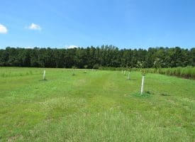 121+/- Acres With Home For Sale in Brunswick County NC!