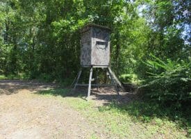 121+/- Acres With Home For Sale in Brunswick County NC!