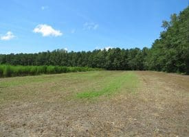 121+/- Acres With Home For Sale in Brunswick County NC!