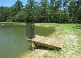 121+/- Acres With Home For Sale in Brunswick County NC!