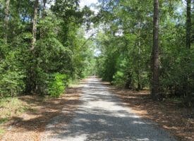 121+/- Acres With Home For Sale in Brunswick County NC!