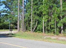 121+/- Acres With Home For Sale in Brunswick County NC!