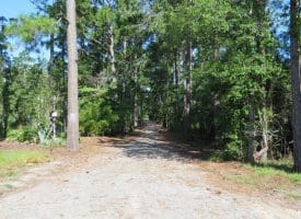 121+/- Acres With Home For Sale in Brunswick County NC!