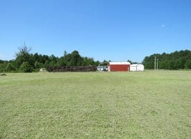 12 +/- Acres of Multi Use Land For Sale in Columbus County NC!