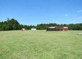 12 +/- Acres of Multi Use Land For Sale in Columbus County NC!