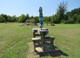 12 +/- Acres of Multi Use Land For Sale in Columbus County NC!