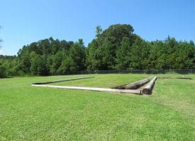 12 +/- Acres of Multi Use Land For Sale in Columbus County NC!