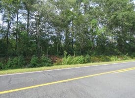 30+/- Acres of Land For Sale in Robeson County NC!