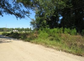 25+/- Acres of Farm Land For Sale in Robeson County NC!