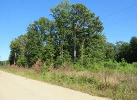 25+/- Acres of Farm Land For Sale in Robeson County NC!