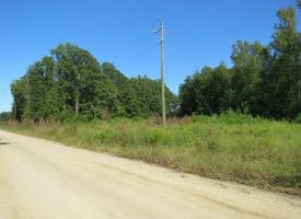 25+/- Acres of Farm Land For Sale in Robeson County NC!