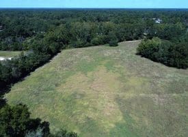 8.2+/- Acre Mini Farm For Sale in Scotland County NC!