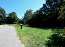 3.4 Acre Estate Size Lot For Sale in Scotland County NC!