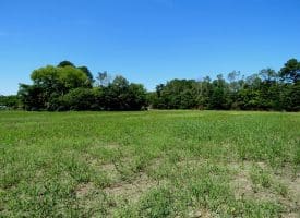 3.4 Acre Estate Size Lot For Sale in Scotland County NC!