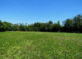 3.4 Acre Estate Size Lot For Sale in Scotland County NC!